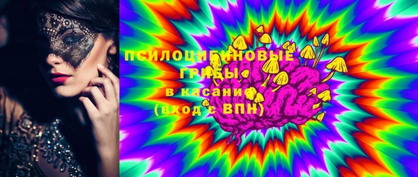 дживик Тавда
